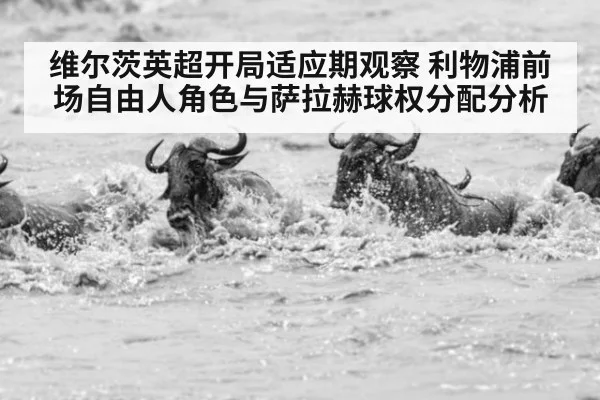 维尔茨英超开局适应期观察 利物浦前场自由人角色与萨拉赫球权分配分析