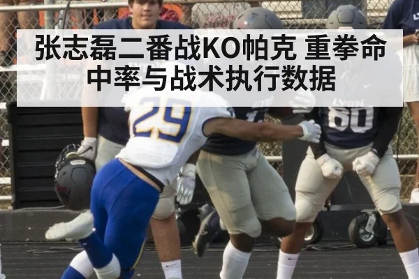 张志磊二番战KO帕克 重拳命中率与战术执行数据